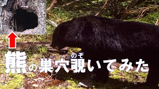 クマの巣穴をのぞいてみた。　‐南アルプスYouTubeカレッジ　２時限目 前半‐