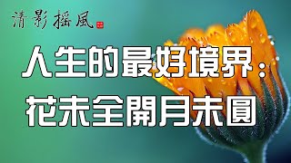 人生的最好境界：花未全開月未圓【清影搖風】佛禪智慧經典美文，每晚深夜讀書給您聽！