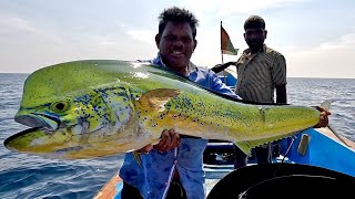 Catching Wahoo Fish \u0026 Mahi Mahi Fish in the Deep Sea