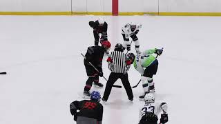 BC Spring Classic - 2010 FV Sturgeon vs AOA Gold BRONZE MEDAL GAME (June 3rd, 2023)