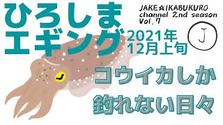 ０７　広島エギング　コウイカしか釣れない日々　２０２１年１２月上旬