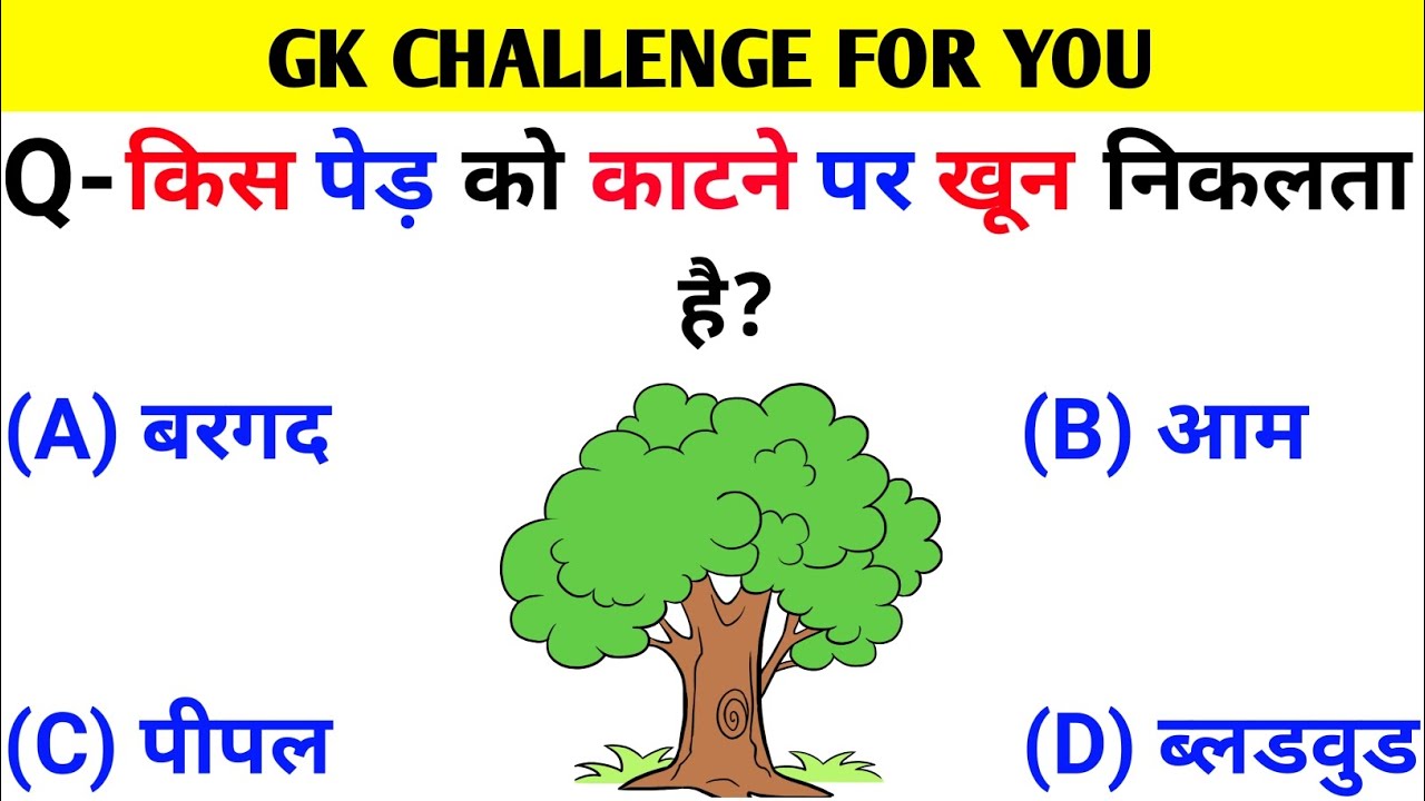 GK Questions | GK Questions And Answers | GK In Hindi | GK Quiz | Gk ...