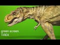 Green screen t-rex HD