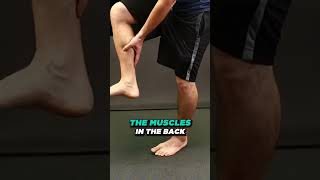 Do bunion correctors work? [How I cured my bunions naturally?]