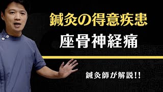 坐骨神経痛の鍼灸について【東洋医学専門 東京・神奈川のはり灸院】