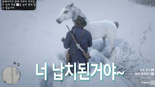 [레데리2] 초보의 아라비안 백마 구하기! ^0^