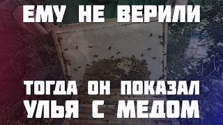 Главный взяток 50-70кг меда на круг с подсолнуха мы возьмем. Ревизия перед откачкой меда