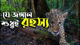 যে জঙ্গলে শুধুই রহস্য || পৃথিবীর বৈচিত্র্যময় জঙ্গল অ্যামাজন || Amazon Deep Jungle Tours.