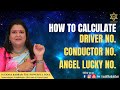 Numerology II How to calculate Driver, Conductor and Angel Lucky Numbers II  Suddha Babbar