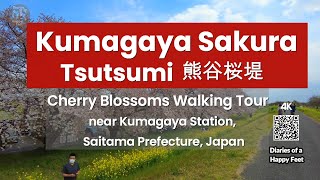 Diaries of a Happy Feet : 🌸 Kumagaya Sakura Tsutsumi Cherry Blossoms 熊谷桜堤 Saitama Japan 🇯🇵🗾 [4K]