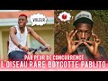 l'oiseau rare  BOYCOTTE  pablito taducteur #gabon ##loiseaurare #lucfaitdesvideos