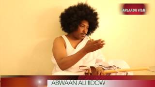 ABWAAN ALI IIDOW