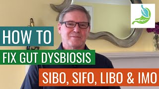 How To Fix Gut Dysbiosis, SIBO, SIFO, LIBO & IMO