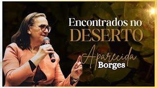 Encontrados no Deserto // Aparecida Borges