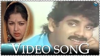 Oho Laila O Charu Sheela Video Song - Chaitanya Telugu Movie