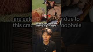 The Loophole That Gets Countless Capybara Eaten Every Year #shorts