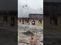 My house was hit by a rare storm #shorts #nature #trending #aihanck #storm #ruralscene #ytshorts