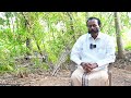 பனை மரம் வளர்ப்பு பாதுகாப்பு பிரத்யேக தகவல் palm palmtrees plants tree farming farm farmer