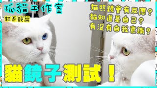 【孤貓工作室】之貓照鏡篇－貓鏡子測試！貓照鏡會有反應？貓知道是自己？有沒有自我意識？