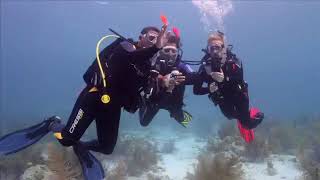 Начальный курс дайвинга  Обучающее видео PADI Open Water Diver PADI OWD  часть 5