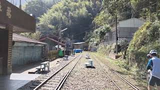 2023.01.26 阿里山森林鐵路巡禮 交力坪車站週邊