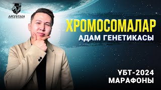 ҰБТ-2024: Хромосомаларды меңгеру | Адам генетикасы