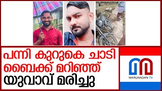 പന്നി കുറുകെ ചാടി ബൈക്ക് മറിഞ്ഞ് യുവാവിന് ദാരുണാന്ത്യം  I  Malappuram