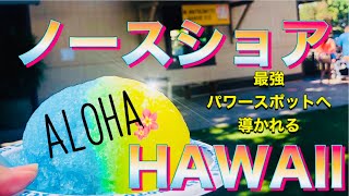 【ハワイ】ロックダウンから4ヵ月ハレイワの街をパトロール！最後はメジャーリーガーも訪れたという最強パワースポットへ。