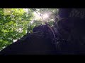 cgtn nature guizhou karst series episode 5 forest on the rocks