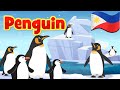 Penguin | Flexy Bear Original Awiting Pambata Nursery Rhymes