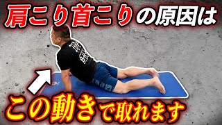 【肩こり】劇的解消！5分で肩凝り首凝り解消エクササイズ