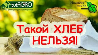 ХЛЕБНЫЙ УСКОРИТЕЛЬ РАССАДЫ. КАКОЙ ХЛЕБ ПРОТИВОПОКАЗАН? Полезен ли хлеб С ПЛЕСЕНЬЮ?