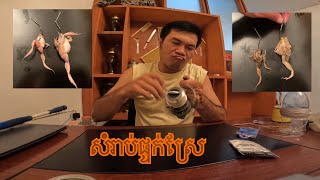 For small snakehead fish | ចង់បបក់ត្រីស្រែបានច្រើនៗ គួររៀបយ៉ាងដូចម្តេច?