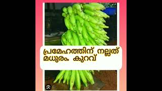 സുന്ദരി വാഴ