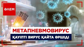 Қауіпті вирус қайта өршіді | Әлем