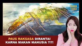 MAKHLUK DONGENG TERNYATA BENERAN ADA !!! | Alur Cerita Film oleh Klara Tania