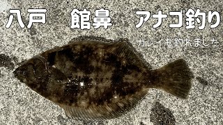 【2024年12月】八戸アナゴ釣り