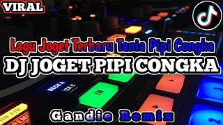 DJ JOGET PIPI CONGKA | Lagu Joget Terbaru Tania Pipi Congka Terbaru 2023