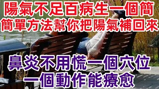 阳气不足百病生，一个简单方法，帮你把阳气补回来。鼻炎不用慌，一个穴位、一个动作能疗愈#健康常識#女性健康#養生保健#健康#健康飲食