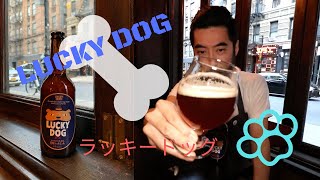 [ビール紹介]　ラッキードッグ編　Lucky Dog