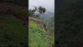 beautiful views from Aravenu near Kotagiri in Nilgiris