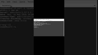 Programming nginx embedded lua json number api