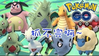 野生班吉拉! 大奶罐! 連續出現罕有精靈! Wild Tyranitar+Miltank! (Pokémon Go HK#46)