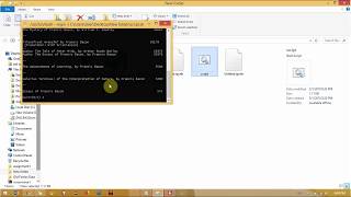 Searching long text file with python and shell script