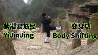 紫凝易筋经 - 变身功 • YiJinJing Shifting Body Exercise