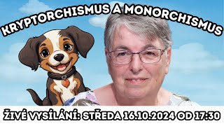 👩‍⚕️Kryptorchismus a monorchismus👩‍⚕️| Chovatelská středa #7 ŽIVĚ!