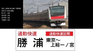 【JR東日本】E233系5000番代JR外房線第二寺の下踏切通過