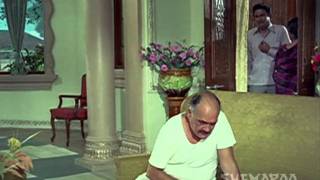 Om Prakash Must Watch Comedy Scenes - No Problems - Joroo Ka Ghulam