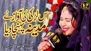 Amina Sultani Naat 2023 || Sohneya Kabootra Tu Sohny Dy Darbar Ty || Naat Sharif || NSP islamic