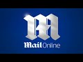 locals watch and gamble on controversial bull fights in haiti daily mail